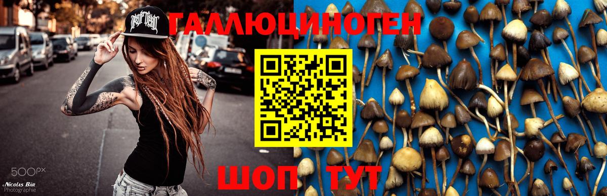 Белогорск  Галлюциногенные грибы Magic Shrooms  Галлюциногенные грибы Psilocybe  Вход с VPN 